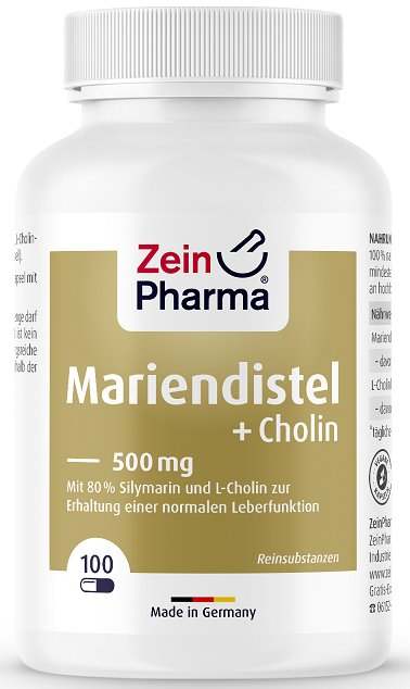 Zein Pharma Milk Thistle + Choline, Liver Complex - 100 caps