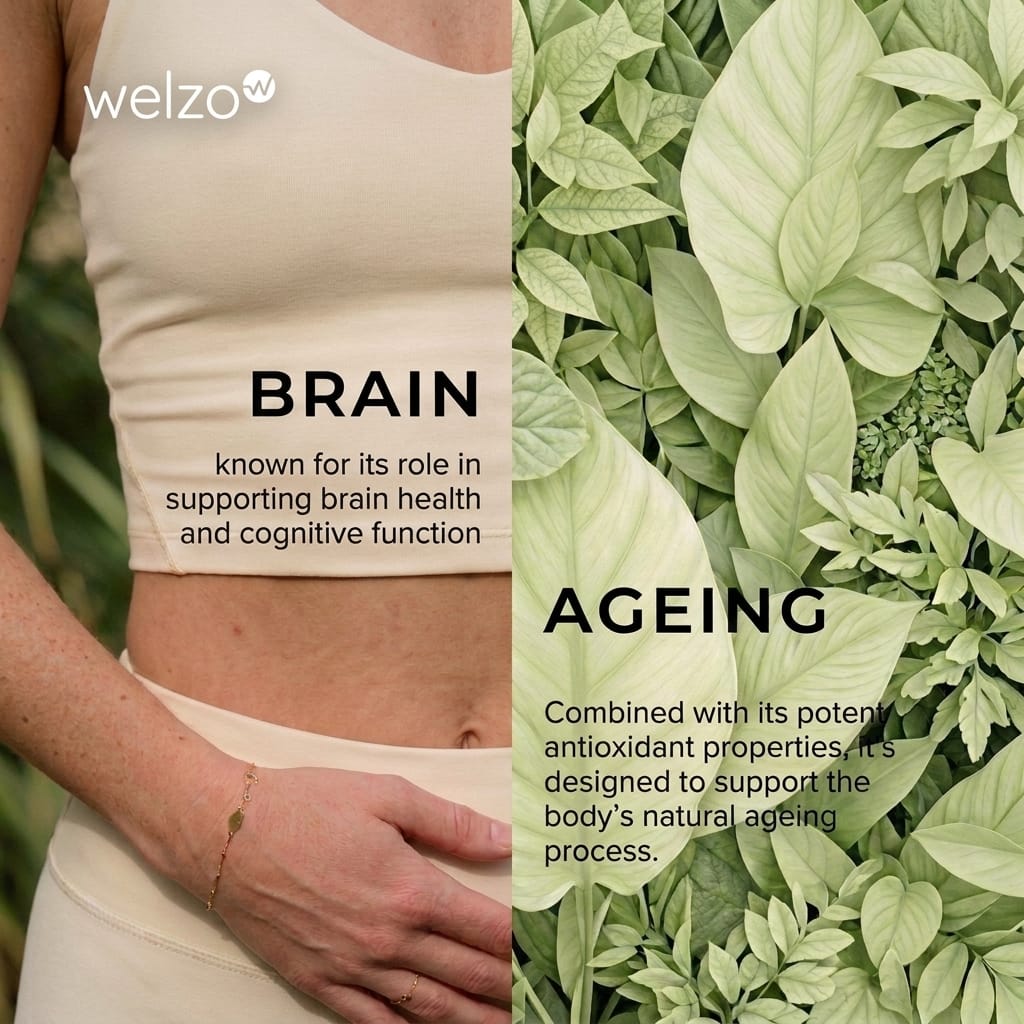 Welzo Ultra Purity Luteolin 500