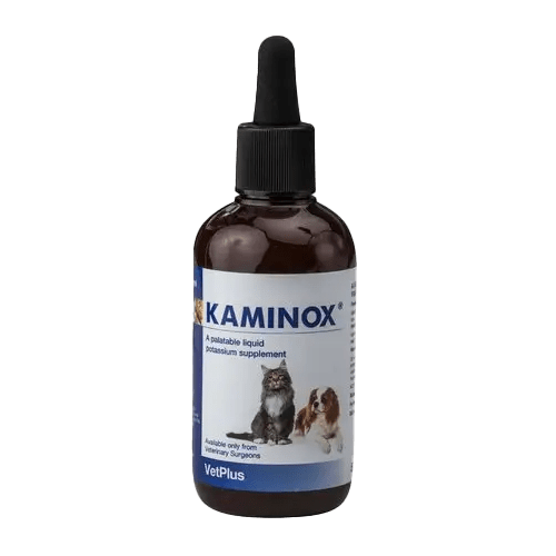 Kaminox Liquid Potassium Supplement 120ml - welzo