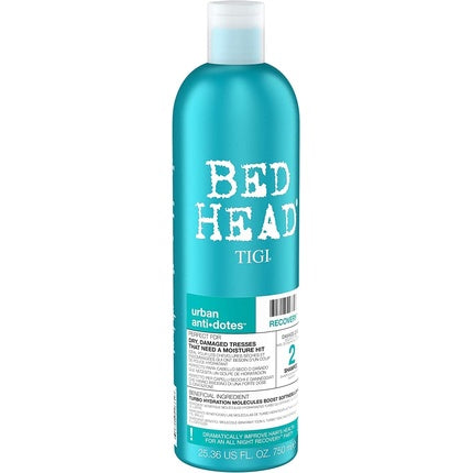 Bed Head by TIGI Recovery Shampoo and Conditioner Set Professional Moisturizing Hair Repair Treatment 2x750ml