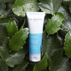 Clarins frisk krat