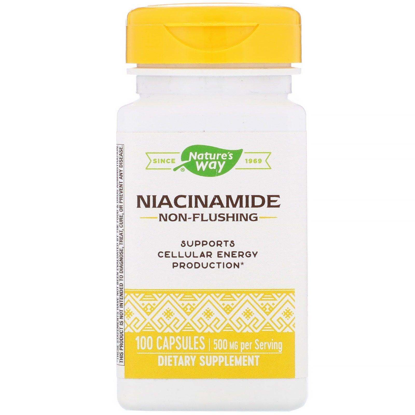 Niacinamide 500mg, 100 Capsules - Nature's Way - welzo