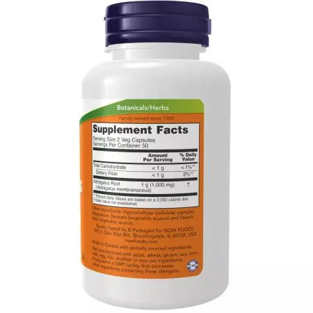 Jetzt Lebensmittel astragalus 500 mg 100 Kapseln