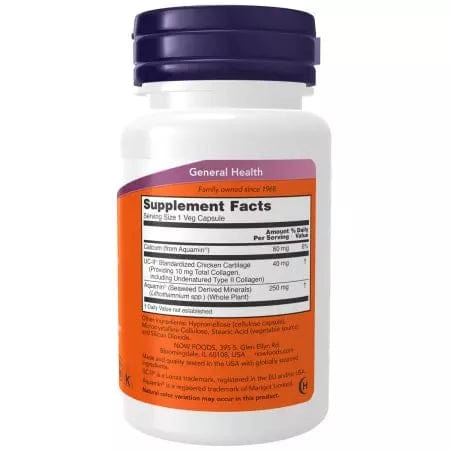 Now Foods UCII Type II Collagen 60 Capsules