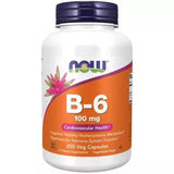 Nyní potraviny Vitamin B6 (pyridoxin HC1) 100 mg