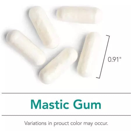 Nutricologie Mastic Gum 120 Capsules végétariennes