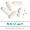 Nutricologie Mastic Gum 120 Capsules végétariennes