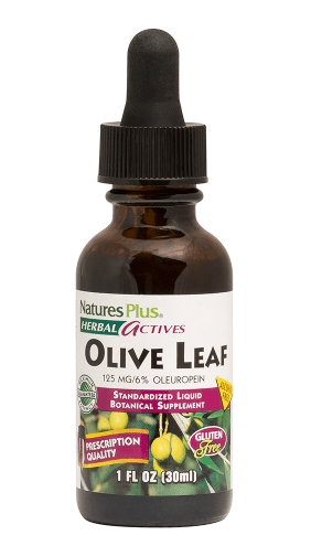 Olive Leaf, 1 fl oz (30ml) - Nature's Plus - welzo