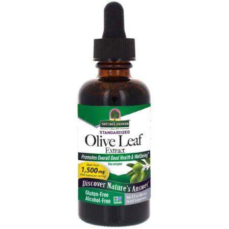 Olive Leaf, Alcohol-Free, (2 fl oz) 60ml - Nature's Answer - welzo