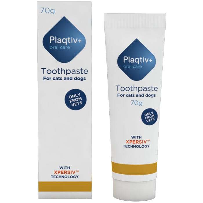 Plaqtiv+ Toothpaste (Malt Flavour) 70g - welzo