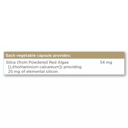 Solgar ozeanische Silica 25 mg Gemüsekapseln Pack von 50