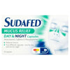 Sudafed Mucus Relief Day & Night Capsules Pack of 16 - welzo