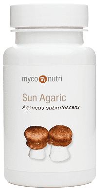 Sun Agaric (60 capsules) - MycoNutri - welzo