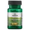 Swanson L. Plantarum Probiotic 10 miljard CFU 30 Veggie drcapsules