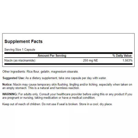 Swanson Niacinamide 250 mg 250 kapslar