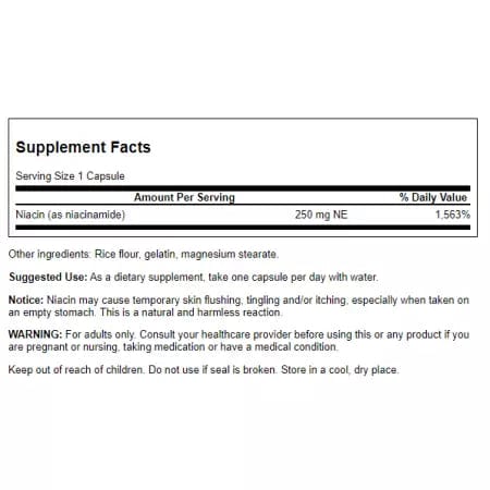 Swanson Niacinamide 250 mg 250 Capsules