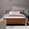 Classic Profiling Electric Bed – Adjustable Height with Trendelenburg Tilt & 29st Max Weight (Copy)