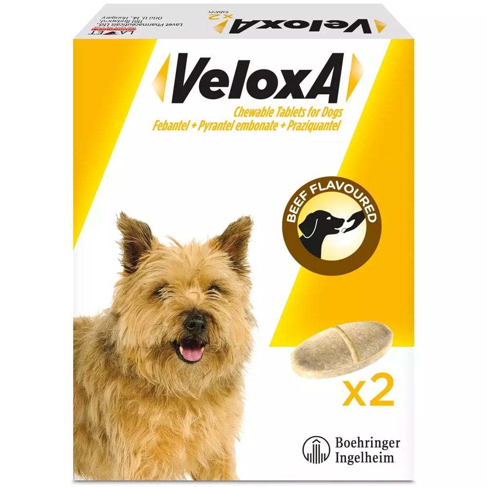 Veloxa Chewable Tablets for Dogs Pack of 2 - welzo