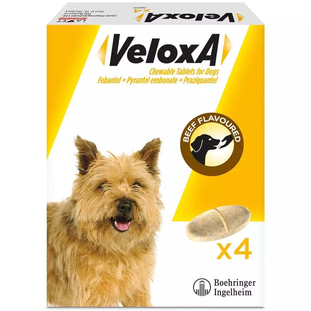 Veloxa Chewable Tablets for Dogs Pack of 4 - welzo