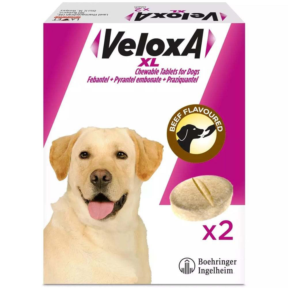 Veloxa XL Chewable Tablets for Dogs Pack of 2 - welzo