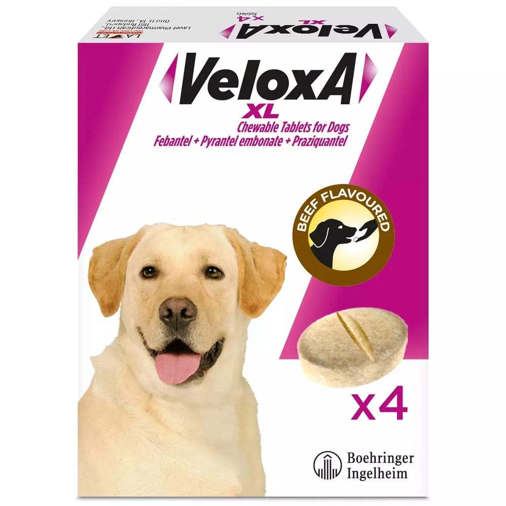 Veloxa XL Chewable Tablets for Dogs Pack of 4 - welzo