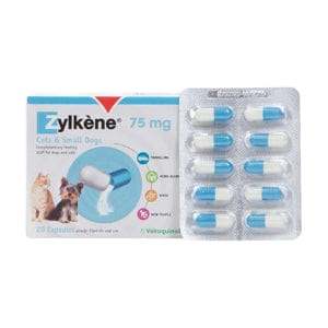 Zylkene Capsules for Cats and Small Dogs 75mg Pack of 20 - welzo